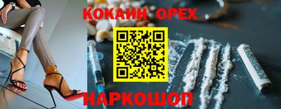 гашик Малгобек