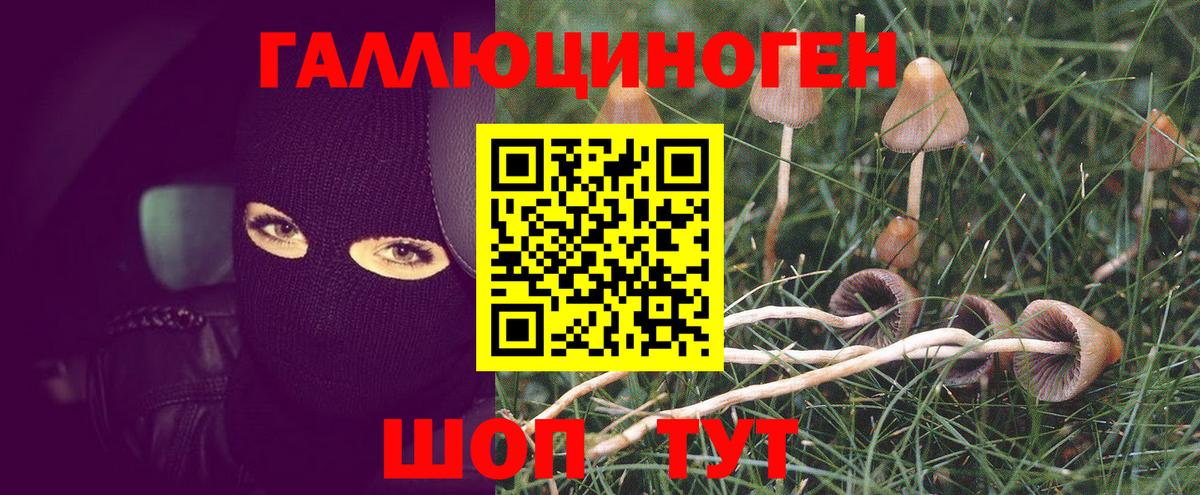 Псилоцибиновые грибы прущие грибы  Вход с VPN  Галлюциногенные грибы мицелий  Десногорск 