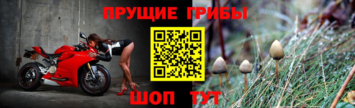 Псилоцибиновые грибы MAGIC MUSHROOMS Десногорск